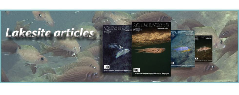 Neolamprologus
